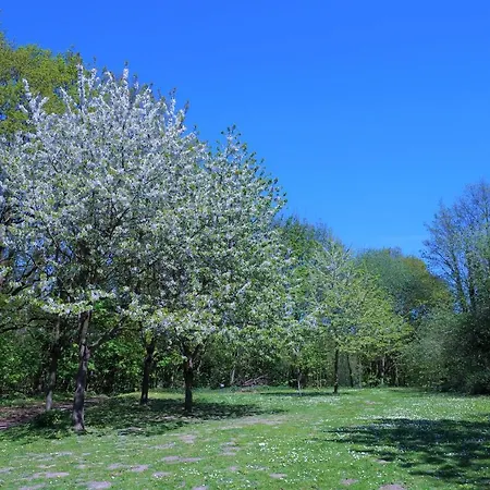 Panoramic App B07-5 Appartamento Sierksdorf