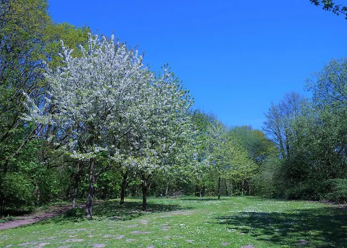 Panoramic App B07-5 Appartement Sierksdorf